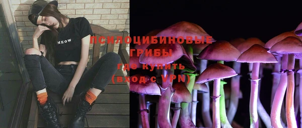 тгк Новозыбков