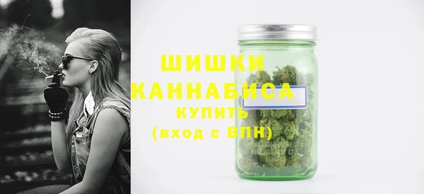 дмт Бикин