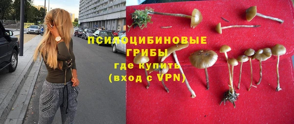 2c-b Новодвинск