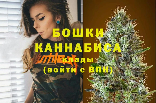 тгк Новозыбков